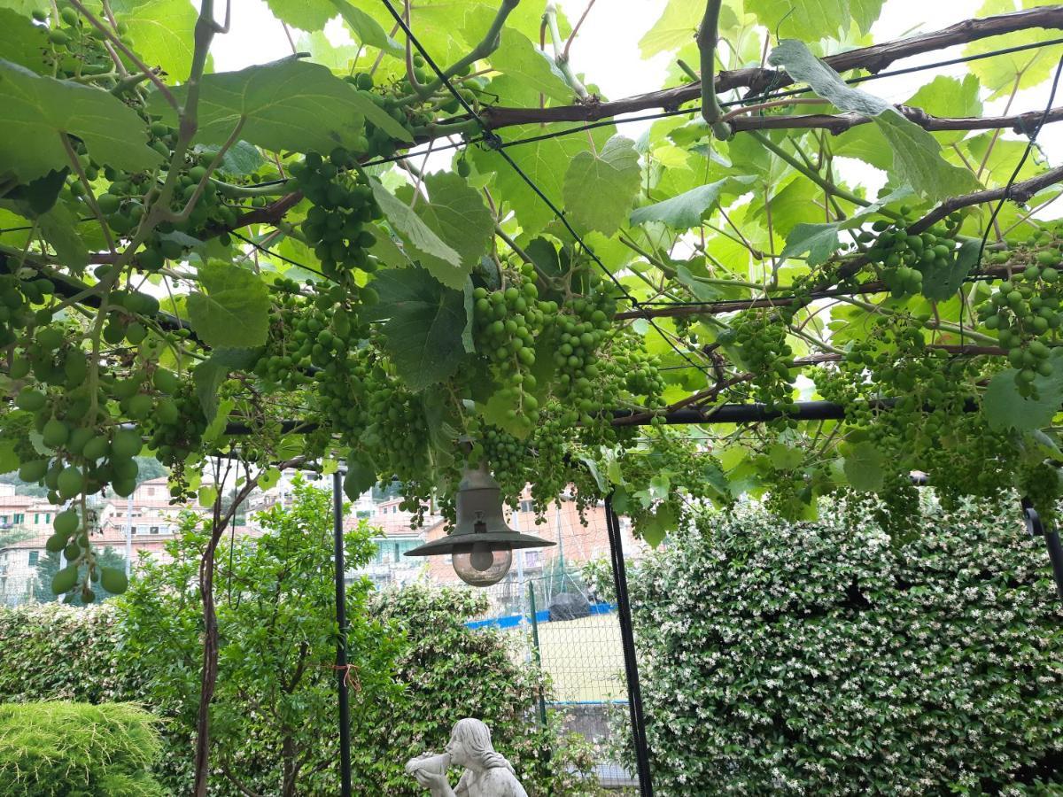 La Villa La Spezia Kültér fotó