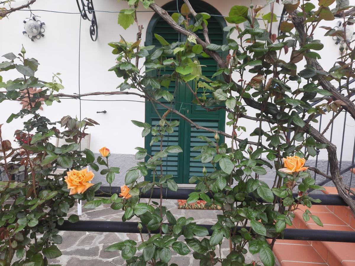 La Villa La Spezia Kültér fotó